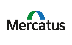 Mercatus: Brand Development