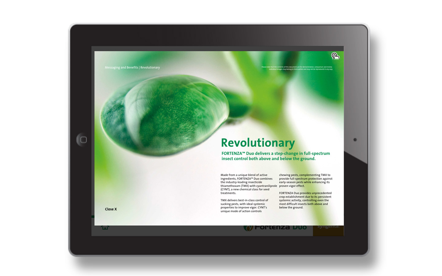 Page design/UX/UI and auto template structure